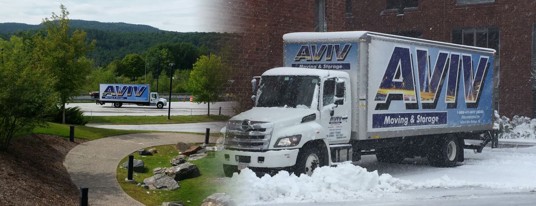 Aviv Moving Hero Background